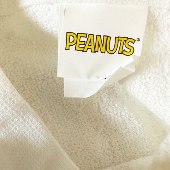 NEW Peanuts Snoopy AUTUMN FUN Kitchen Towel Set/2 🍁🍂🍁🍂🍁 - Picture 4 of 5